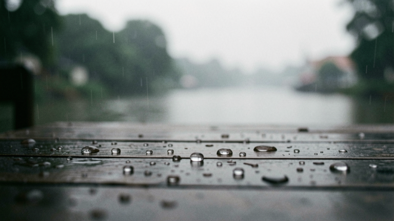 วันที่ฝนตกพรำ ๆ ที่ LNY Space: ช้าลงหน่อย ก็ดีเหมือนกันนะ